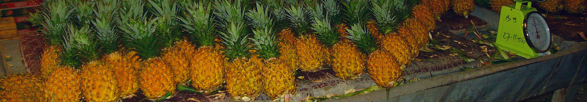 Etal d'ananas aux Antilles. © Cirad