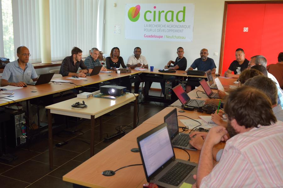 Réunion atelier PBD2 Guadeloupe @ Cirad